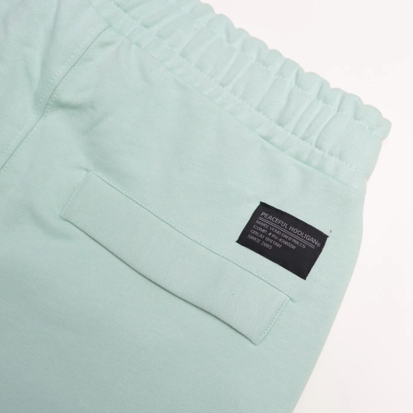 Peaceful Hooligan Duke Sweat Shorts Mint - 924 - Image 6